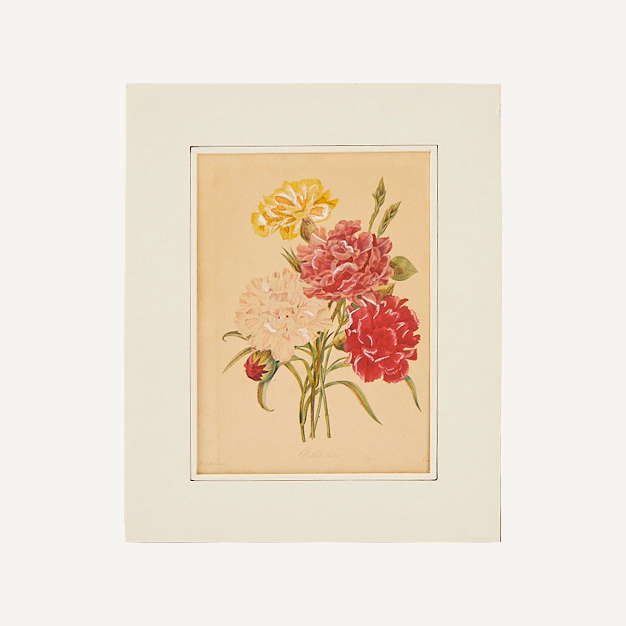ANTIQUE FLORAL LITHOGRAPH