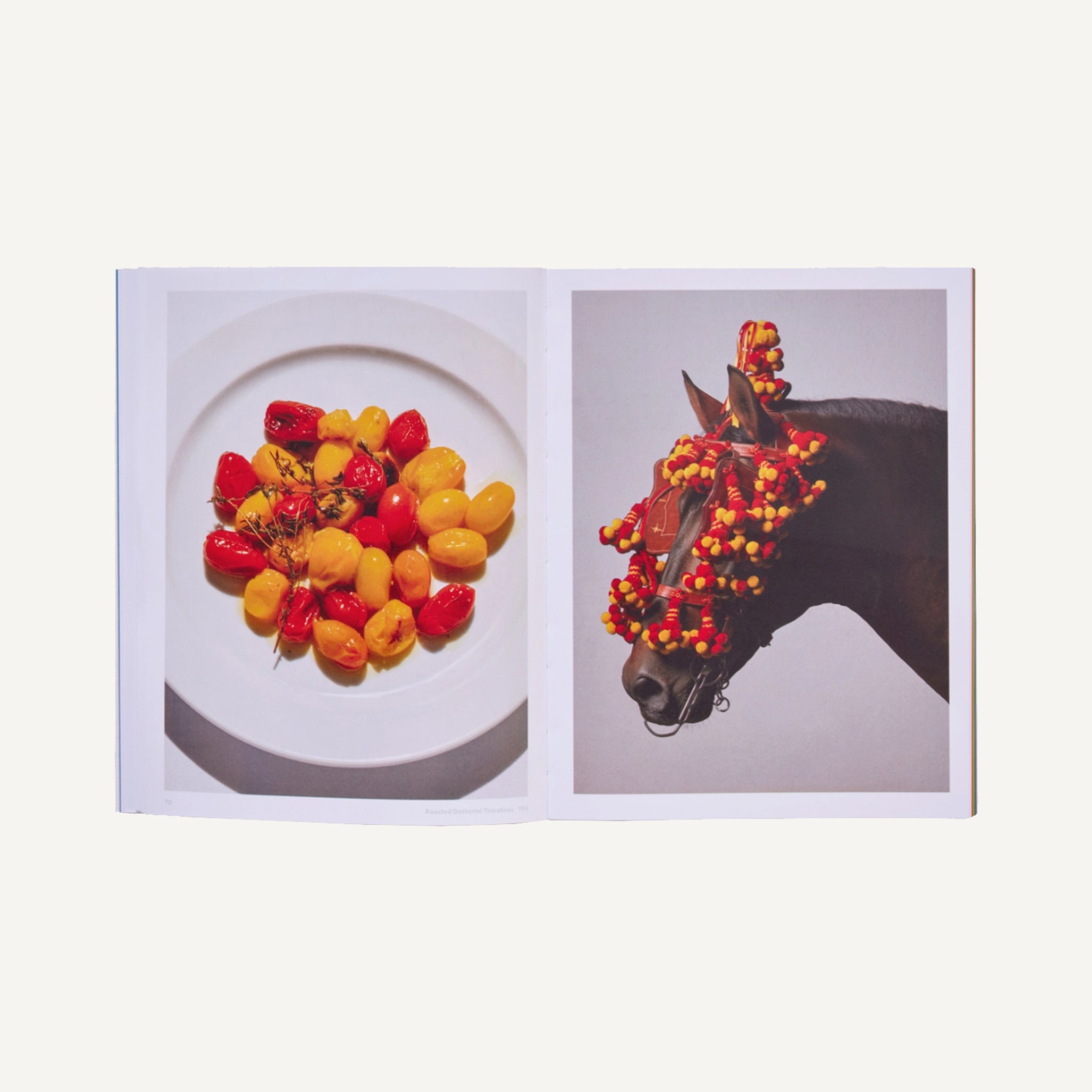 THE RIVER CAFE LOOK BOOK: RECIPES FOR KIDS OF ALL AGES
