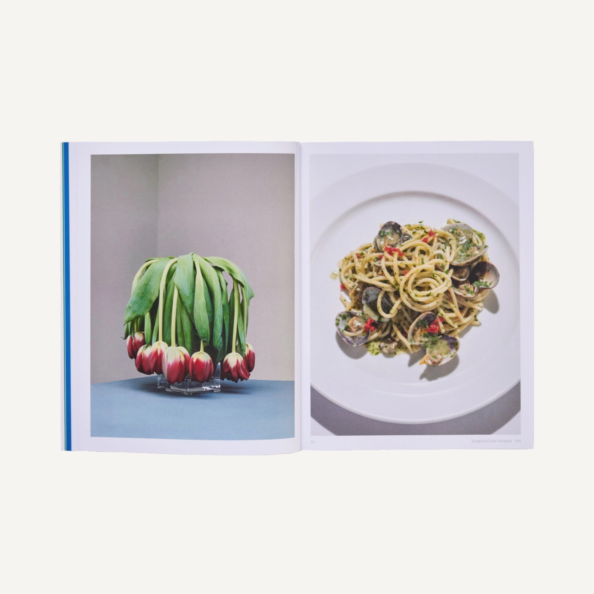 THE RIVER CAFE LOOK BOOK: RECIPES FOR KIDS OF ALL AGES