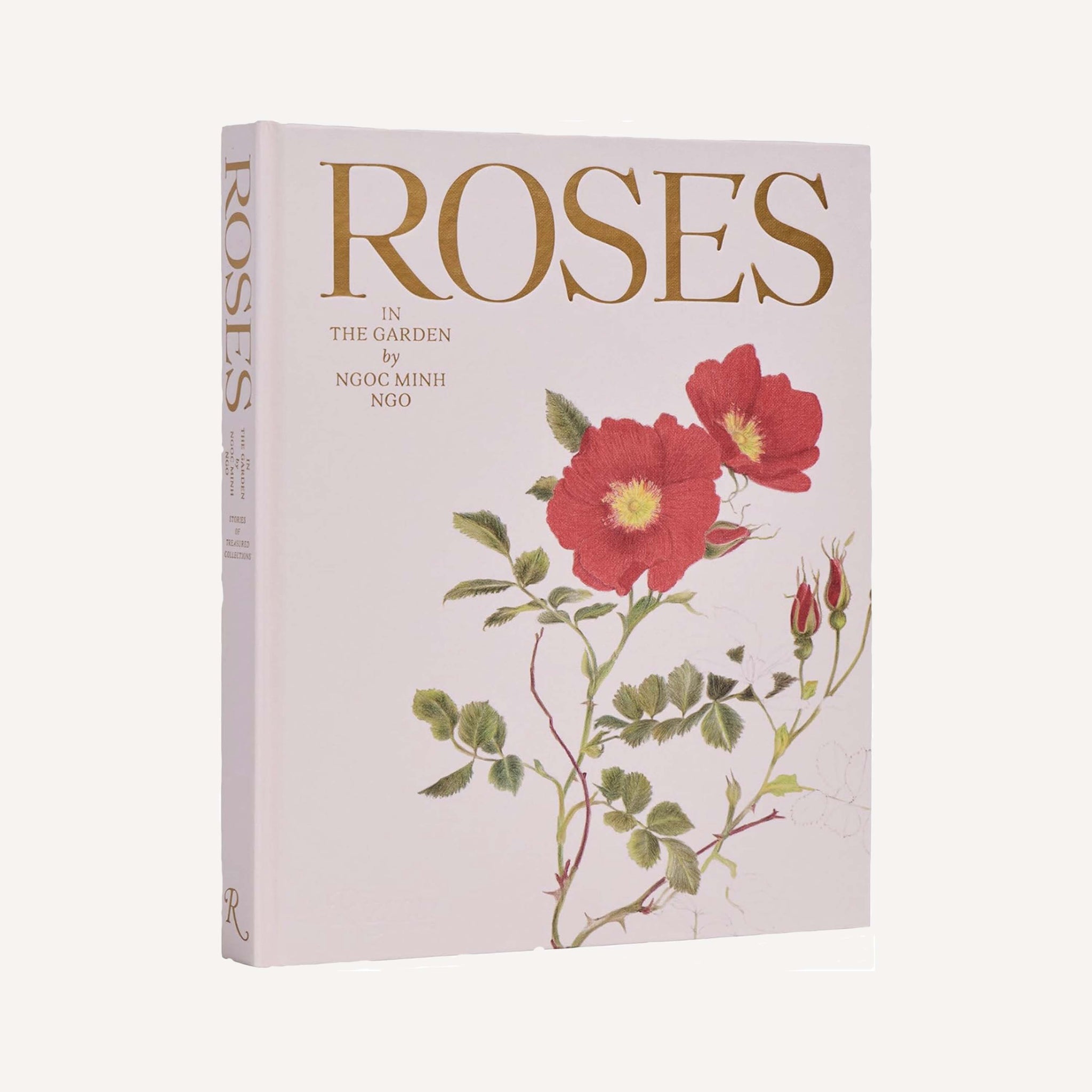 ROSES IN THE GARDEN