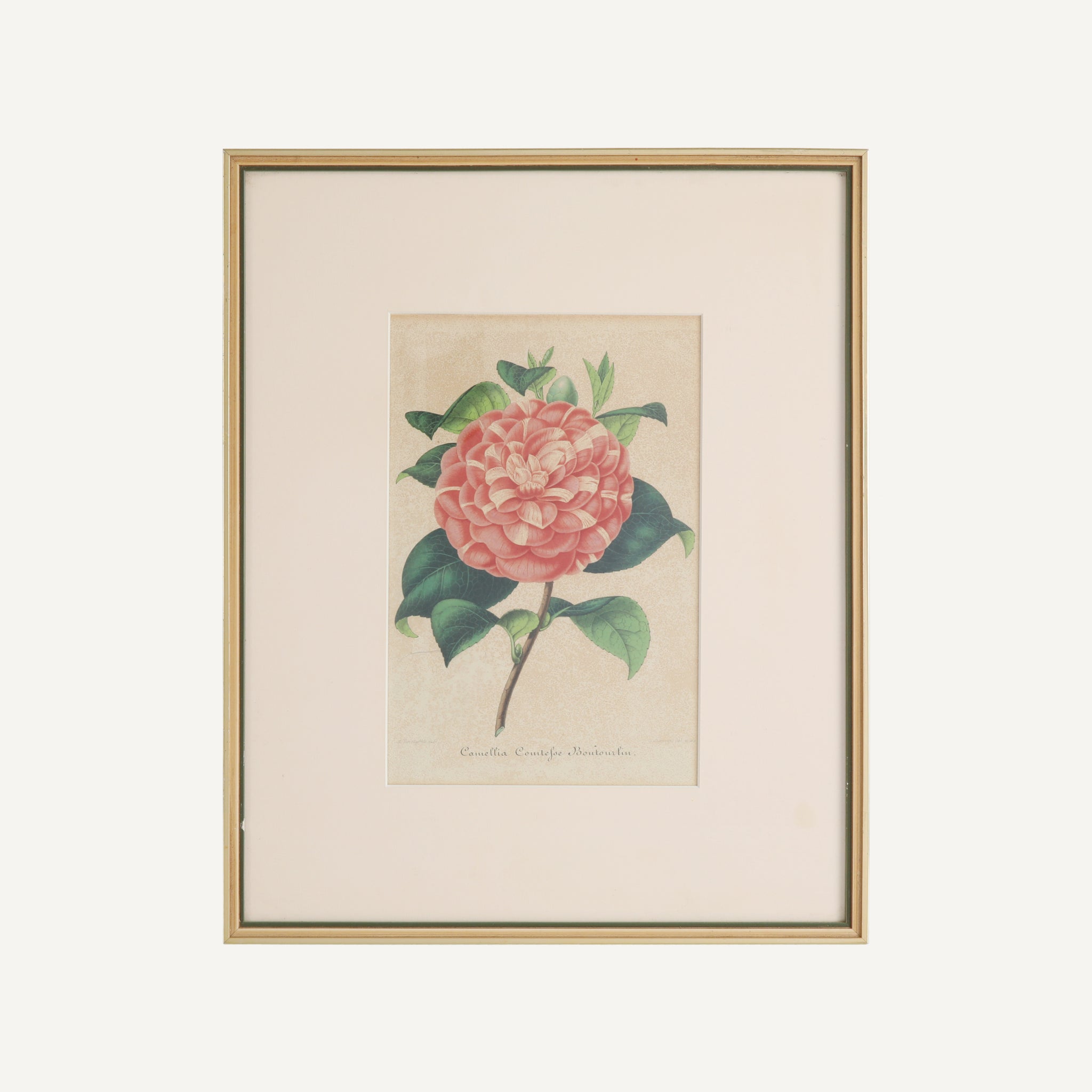 VINTAGE FLORAL PRINT