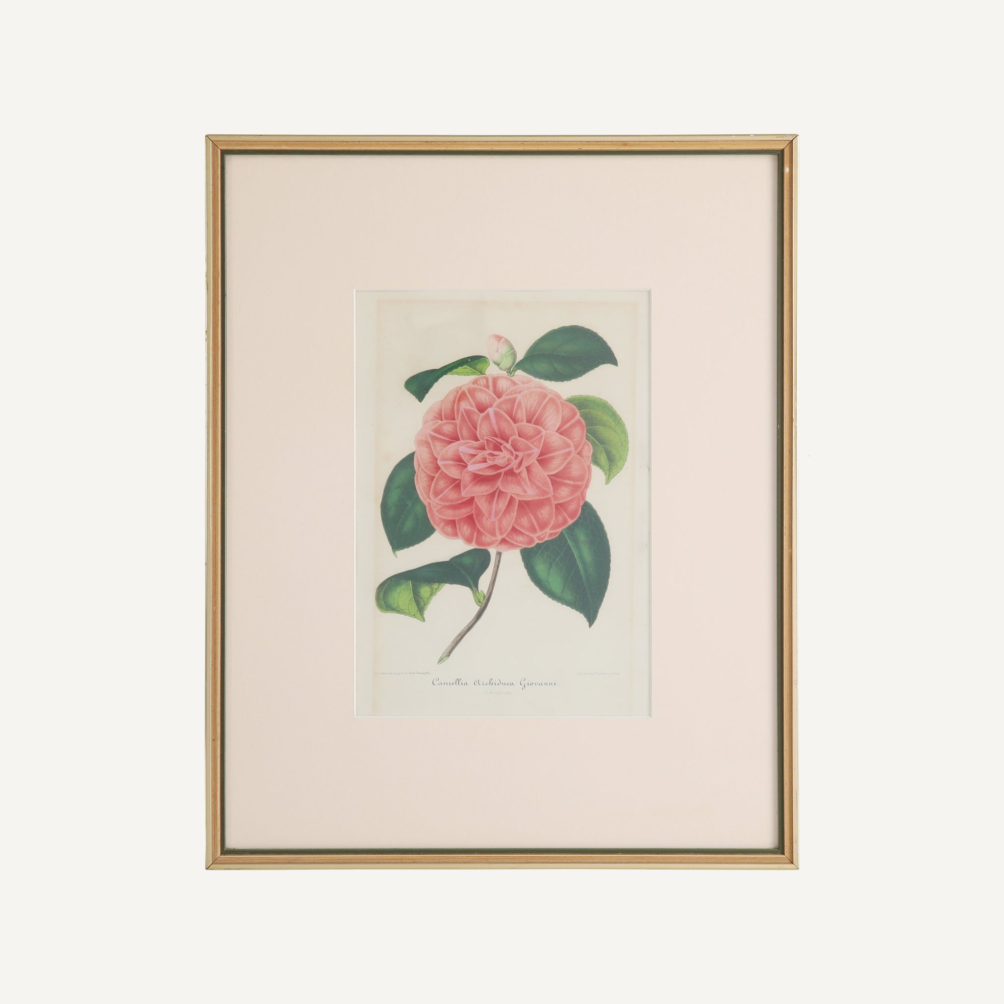 VINTAGE FLORAL PRINT