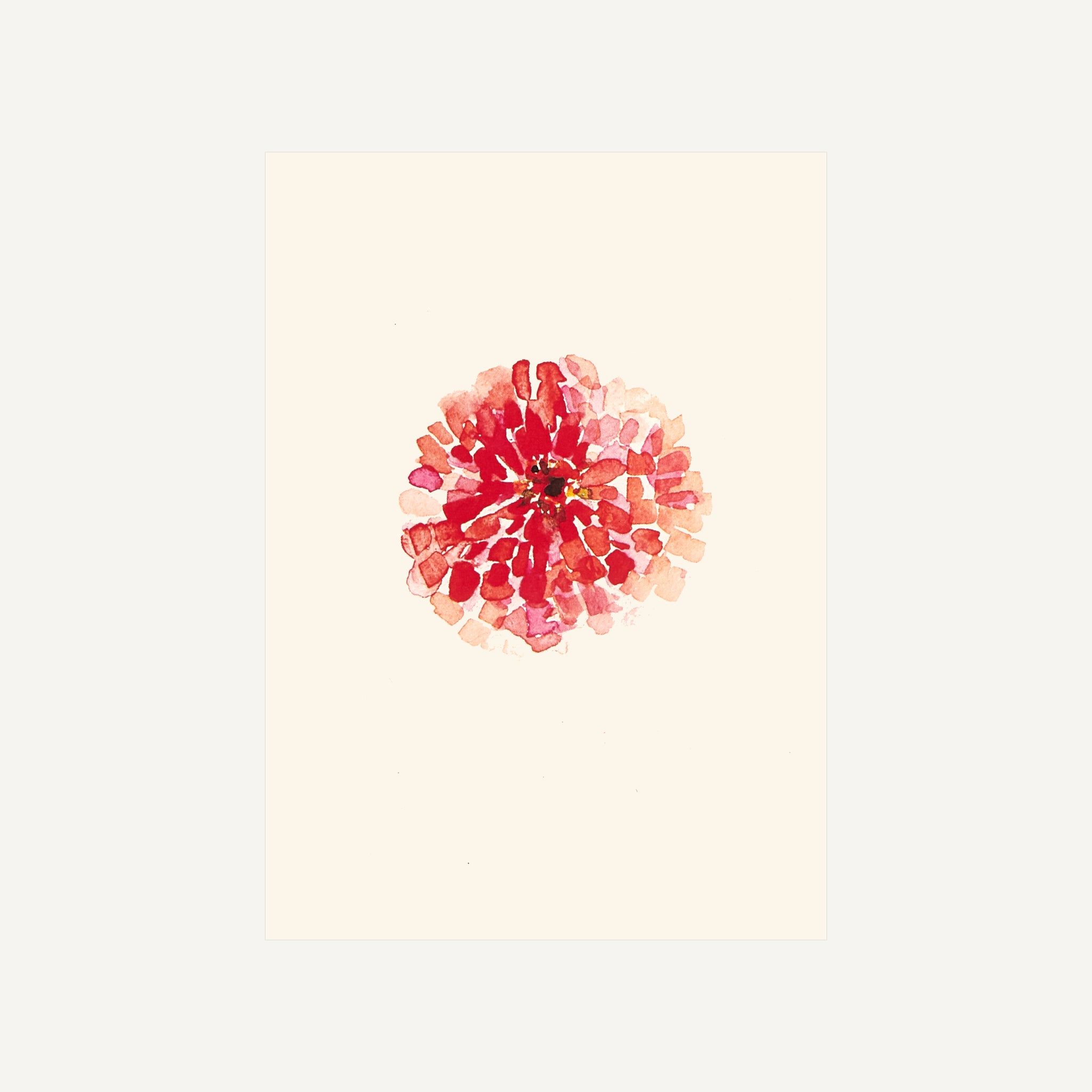 BOX SET OF SIX FLOWERS CARDS