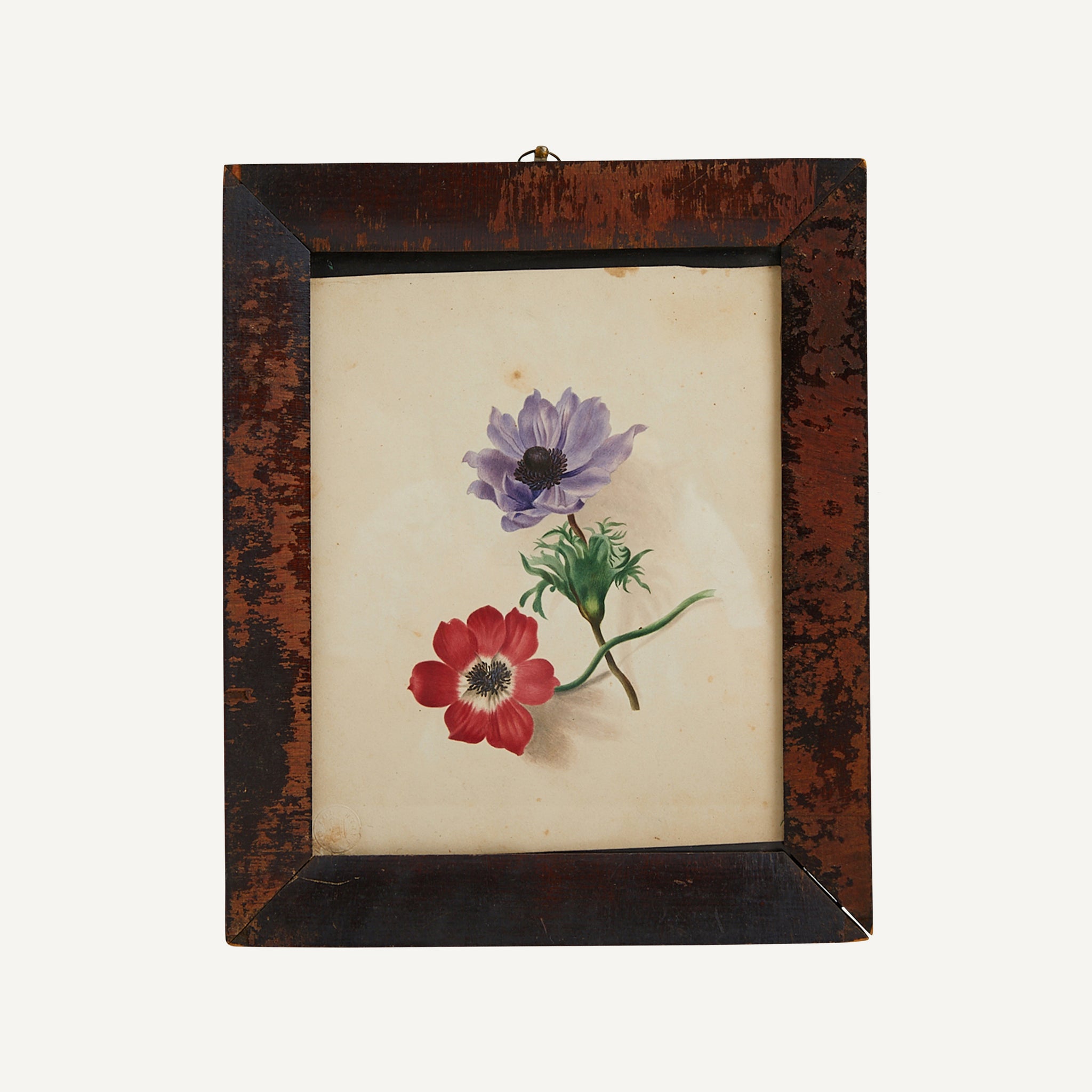 ANTIQUE ANEMONE FRAMED WATERCOLOR