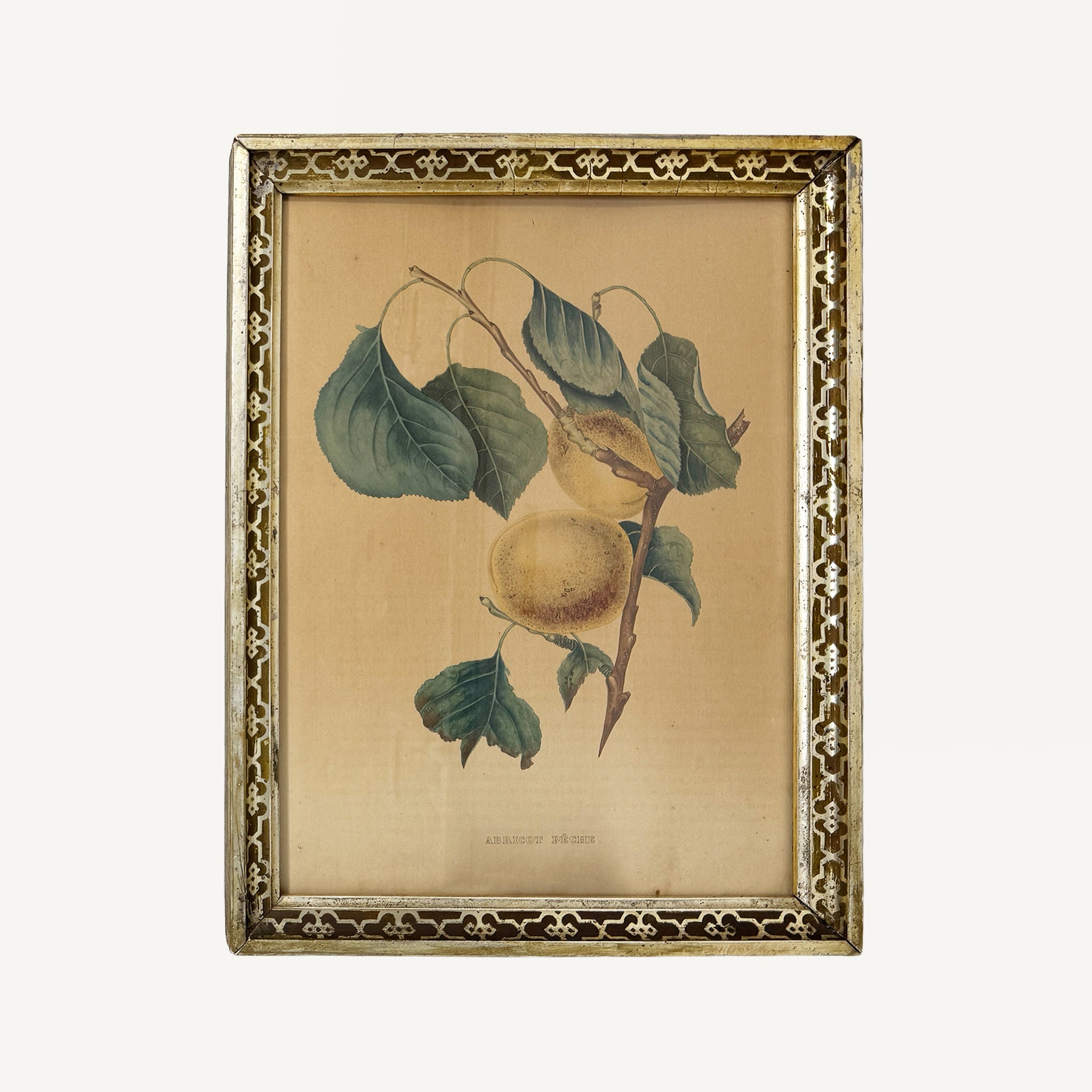 ANTIQUE HAND COLORED PRINT