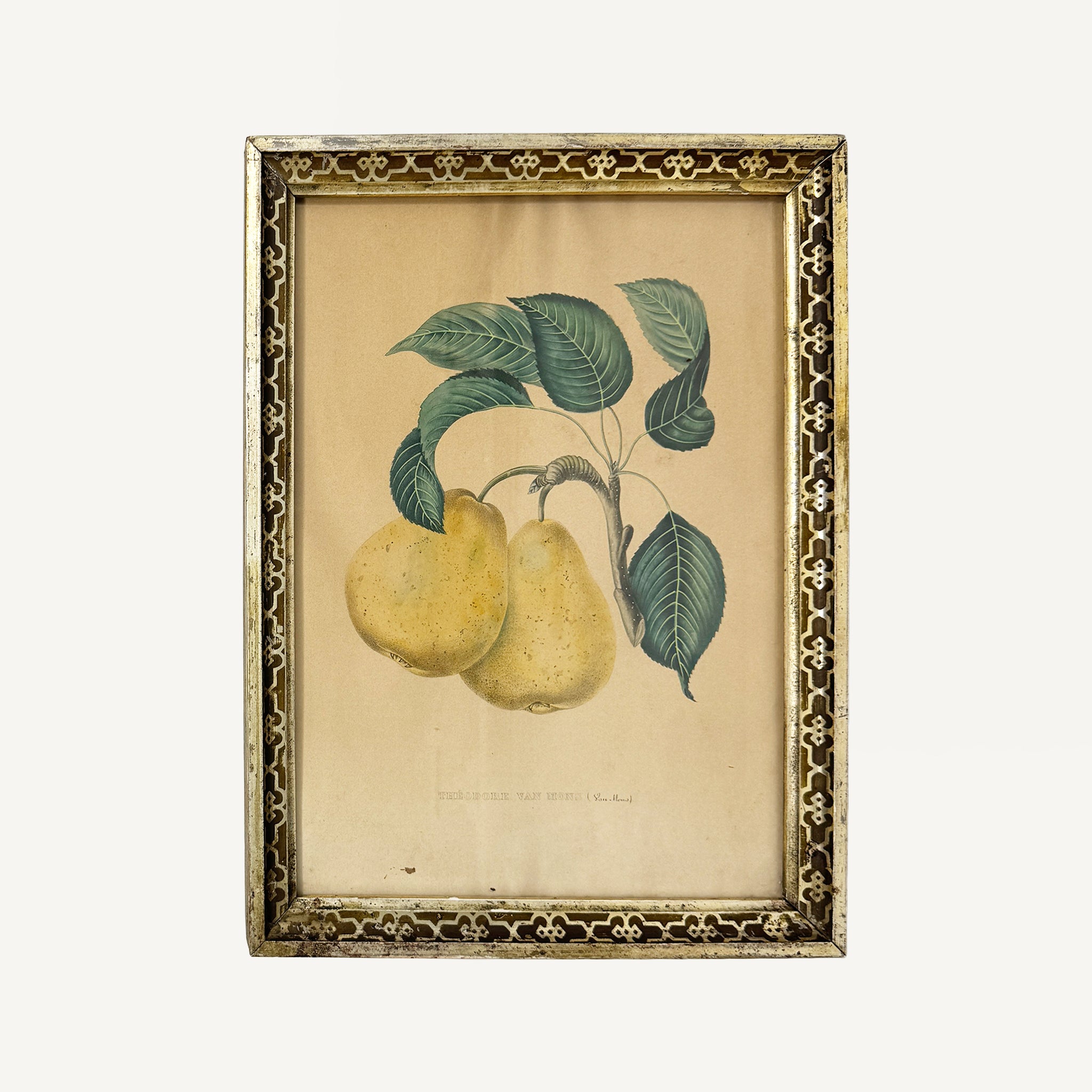 ANTIQUE HAND COLORED PRINT