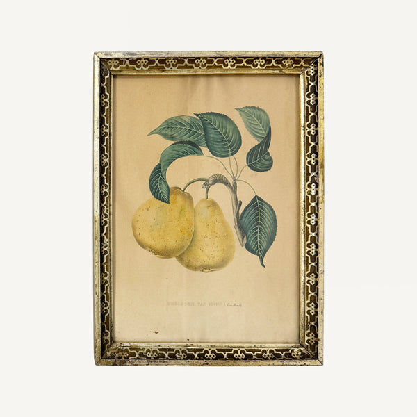ANTIQUE HAND COLORED PRINT