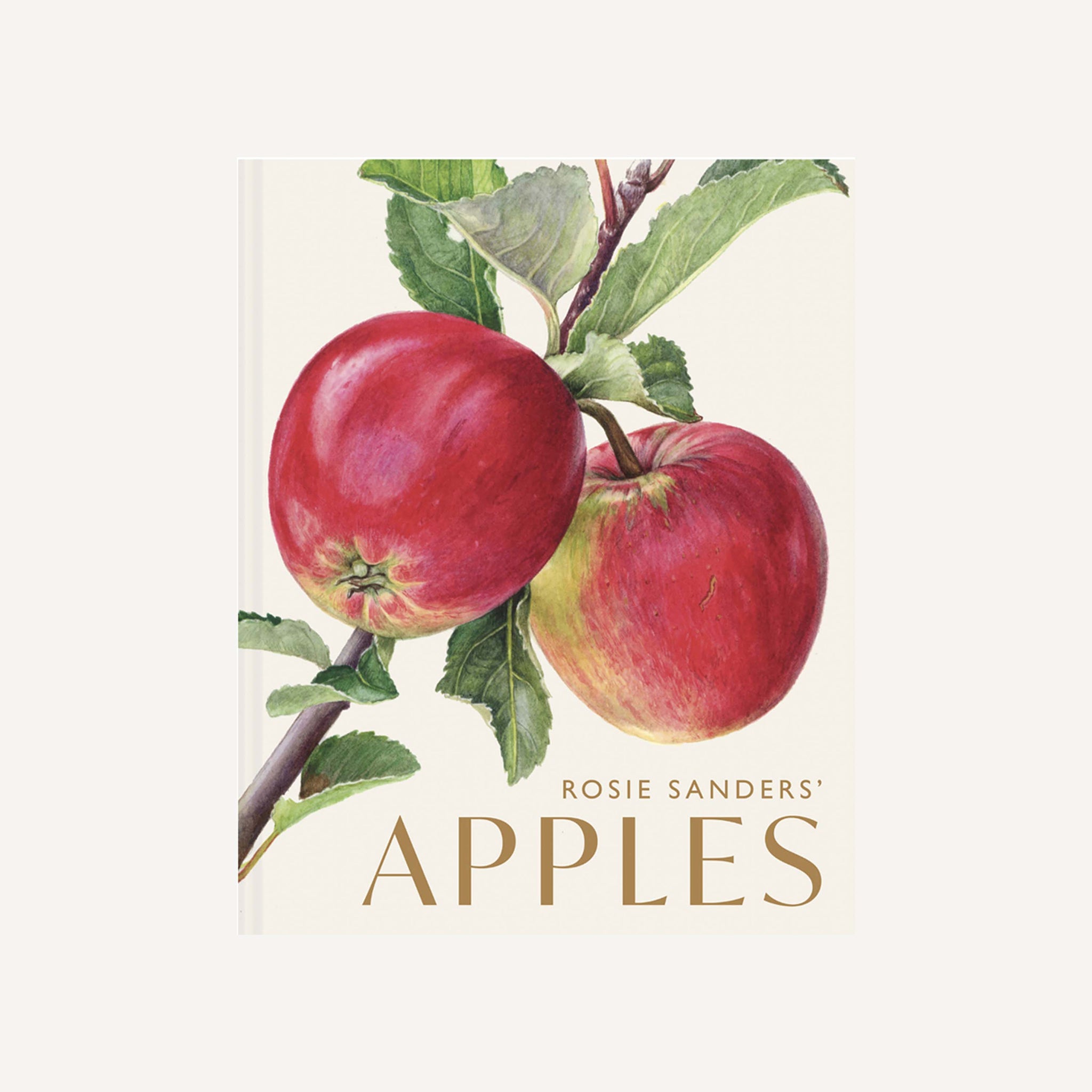Apples by Rosie Sanders
