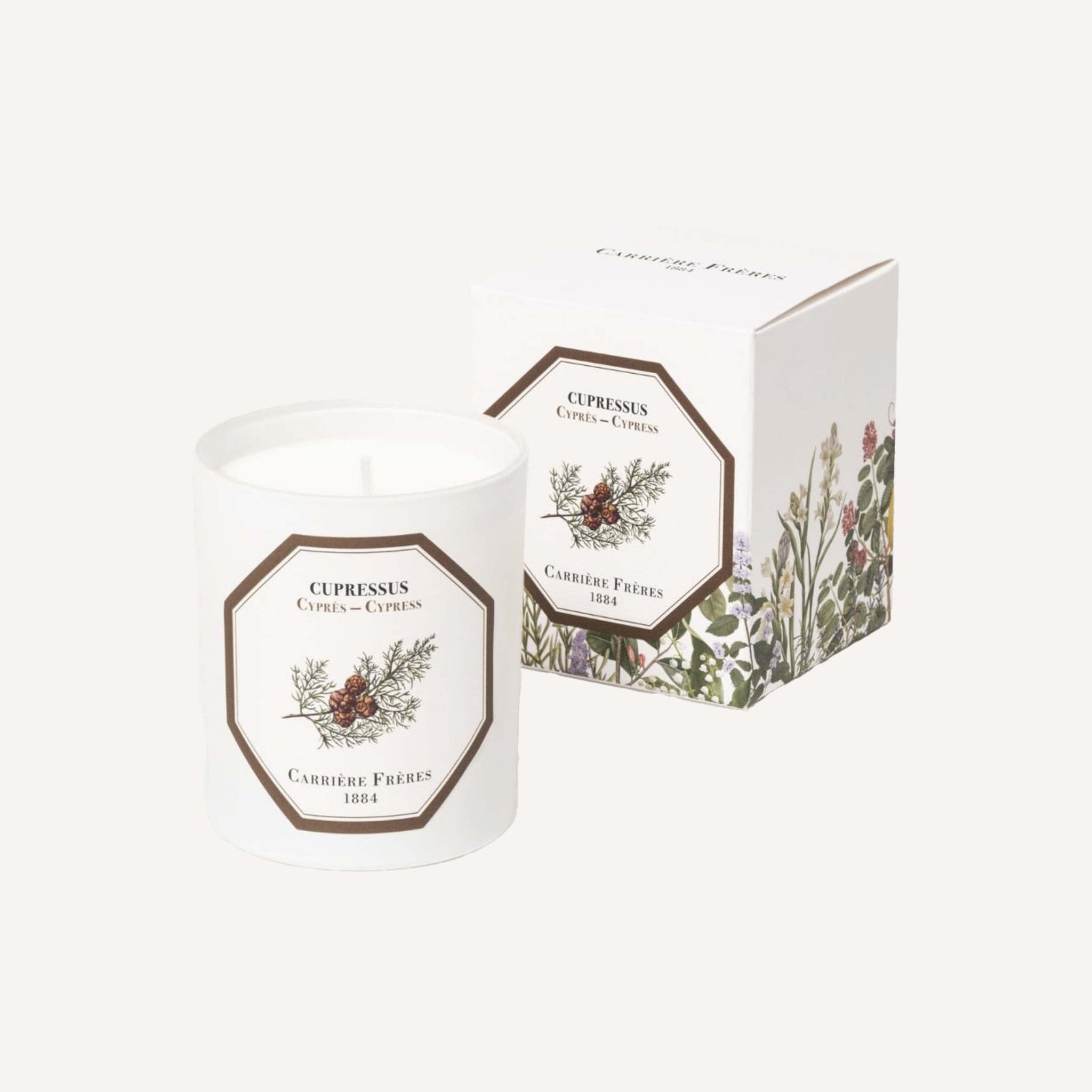 CARRIERE FRERES CYPRESS CANDLE