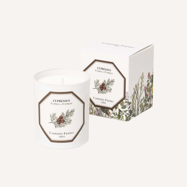 CARRIERE FRERES CYPRESS CANDLE