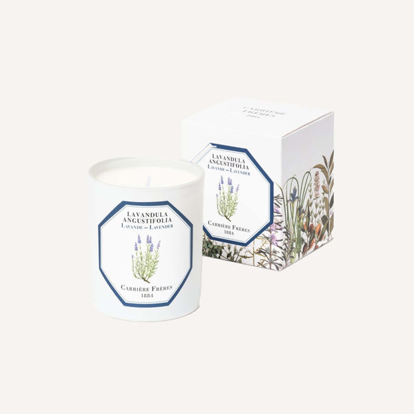 CARRIERE FRERES LAVENDER CANDLE
