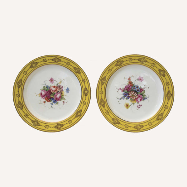 VINTAGE ROYAL WORCESTER  PLATES
