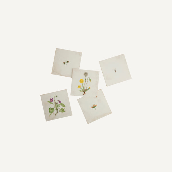 ANTIQUE VILLEROY & BOCH TILES