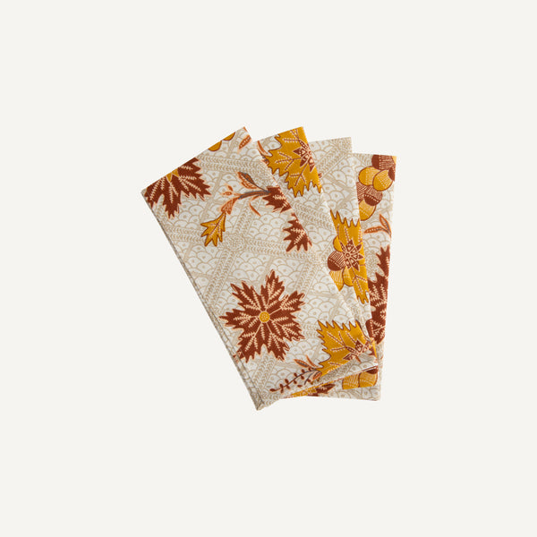 PLAIN GOODS + SCHUMACHER "IBAN" NAPKINS