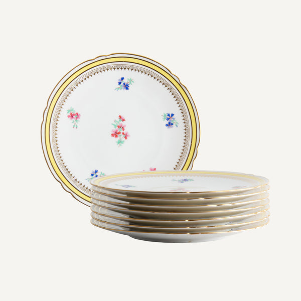 ANTIQUE COPELAND'S CHINA PLATES