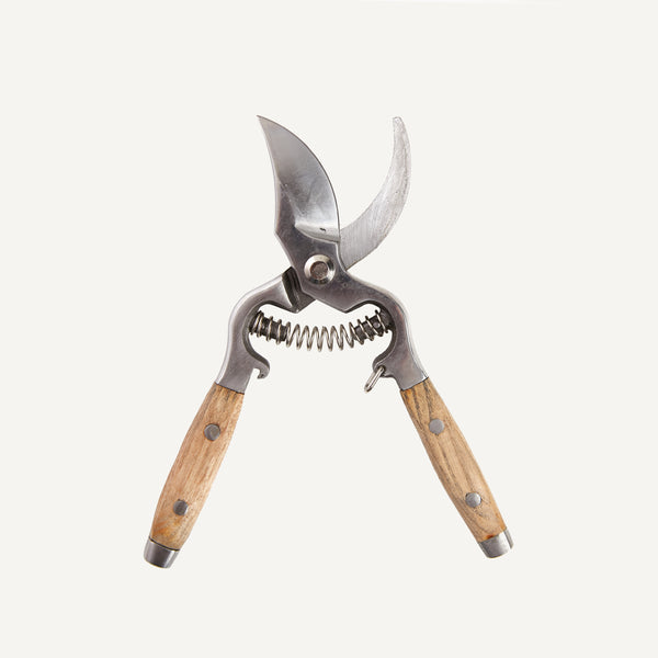 ASH WOOD SECATEURS